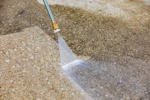 Animal Enclosure Cleaning in Shawneetown, IL